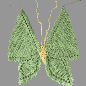 Hand Crochet Butterfly Shirt